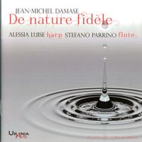 Sonate pour flûte traversière et harpe : 4. Adagio - Presto