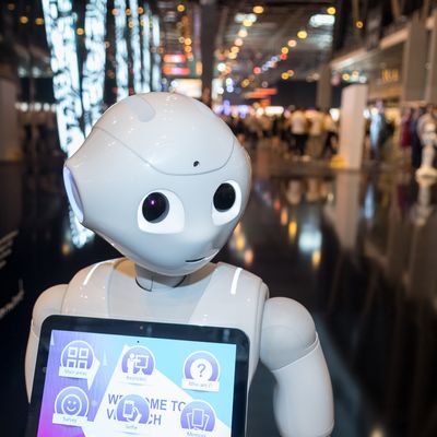 Des robots à tous les prix
