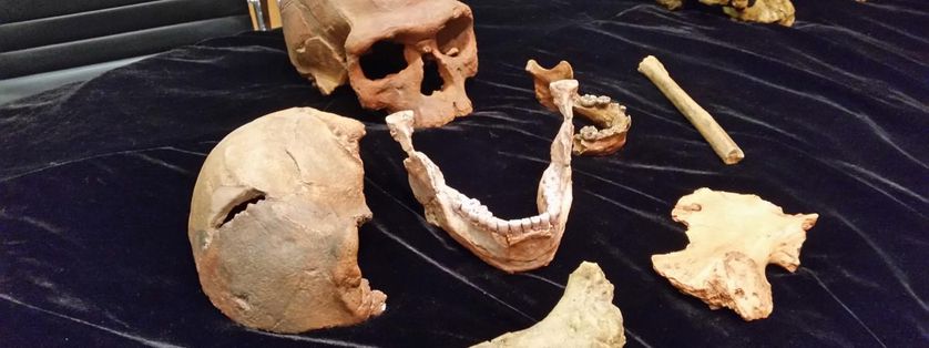 Les différents fossiles retrouvés par les anthropologues entre 2004 et 2016, à Jebel Irhoud, au Maroc.