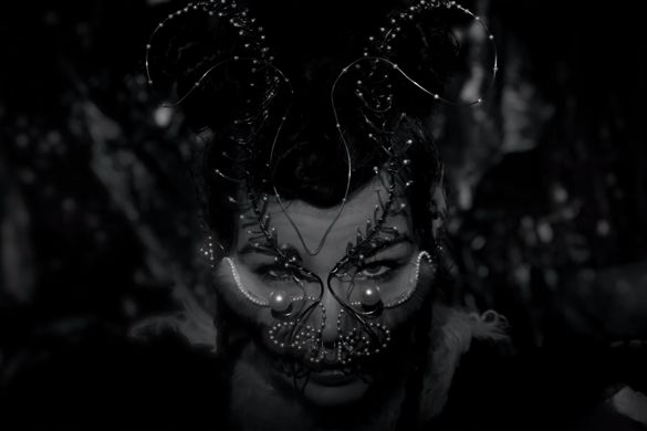 Bjork Notget 585