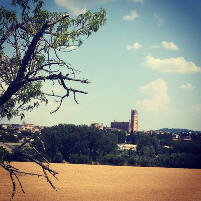 Terres agricoles autour d'Albi.