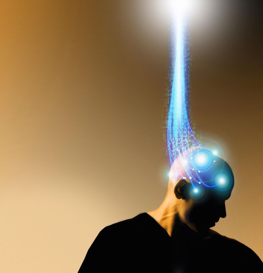 Le cerveau connecte
