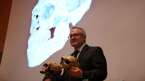 Le Professeur Jean-Jacques Hublin raconte aujourd'hui au micro de Mathieu Vidard la découverte du plus ancien représentant connu de notre espèce, Homo sapiens, qui vivait il y a environ 300 000 ans au Maroc - DR
