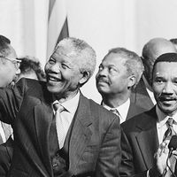 Nelson Mandela and the Congressional Black Caucus