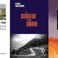 Couvertures des livres "Entre eux" (L'Olivier), "Le coureur et son ombre" (Premier Parallèle) et "En étrange pays" (Libretto)