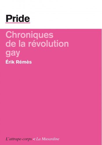 Chroniques de la révolution gay // Erik Rémès