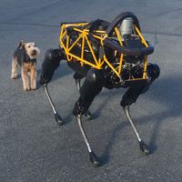 Un robot quadrupède de Boston Dynamics