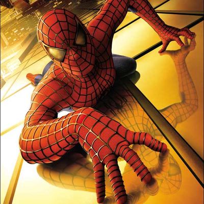 Affiche du film Spiderman