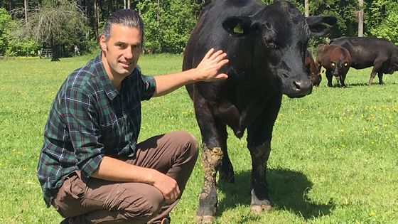 Nils et ses vaches - Stéphanie Thomas