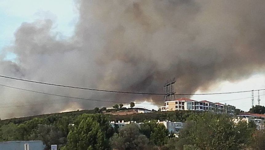 Le Feu A Detruit Cinq Hectares De Vegetation A Martigues
