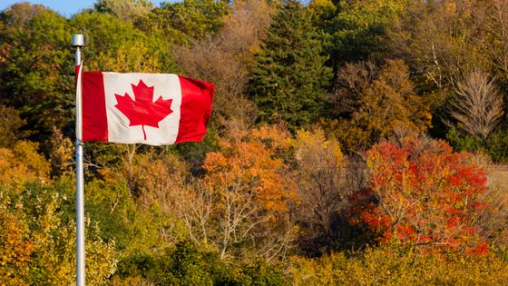 Drapeau Canadien - province de Montréal ©AFP - Rentaul Philippe