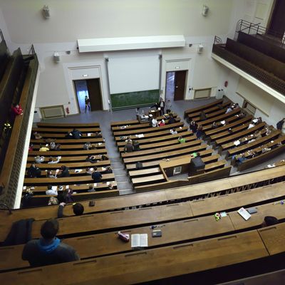 Amphi