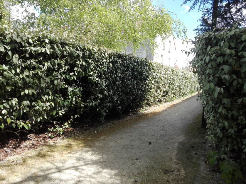 Un des nombreux passages dans Guermantes