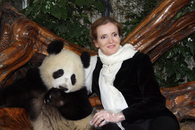 NKM, alors ministre de l'Ecologie, en train de taper sur des bambous à la réserve de Chengdu