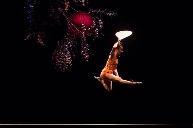 Crépuscule et fleurs de cerisier, la forêt du Cirque Plume rôle principale de leur dernier spectacle