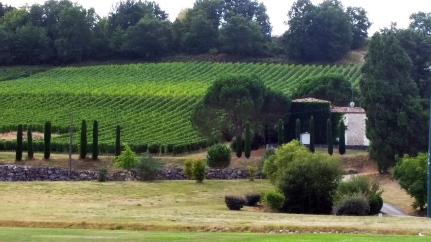 Domaine viticole à Pineuilh, en Gironde