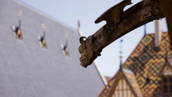 Gargouille des Hospices de Beaune, lieu du festival international de musique baroque et romantique de Beaune ©Radio France - Guillaume Decalf