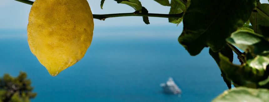 Il n'y a qu'a Menton que l'on peut voir ca !!!