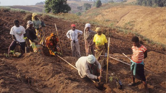 Lutte contre l'érosion au Cameroun ©Getty - UniversalImagesGroup