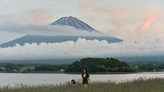 Paysage japonais ©AFP - KAZUHIRO NOGI
