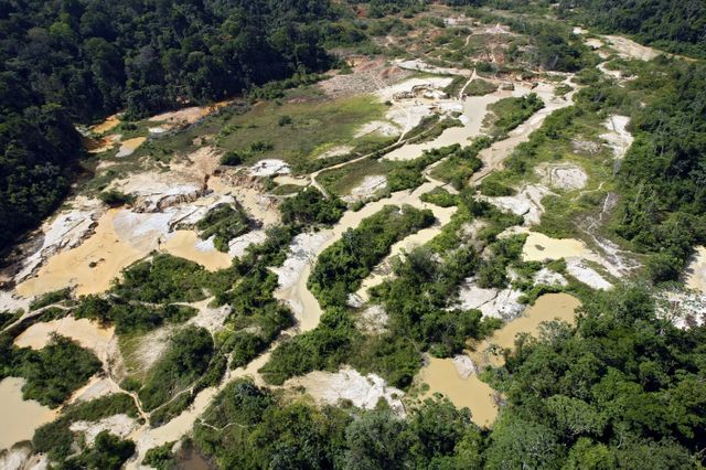 Vue aérienne d'une partie d'un site d'exploitation aurifère clandestin, le long d'un affluent du fleuve Maroni en pleine forêt guyanaise.
