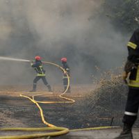 Incendies à Saint Cannat, près d'Aix en Provence