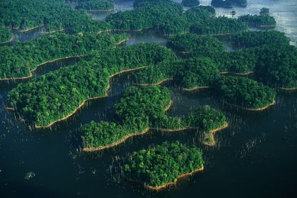 La Guyane La Guyane