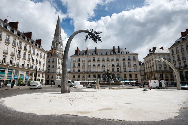 "La terre où les arbres rêvent" par Laurent Pernot, installé Place Royale