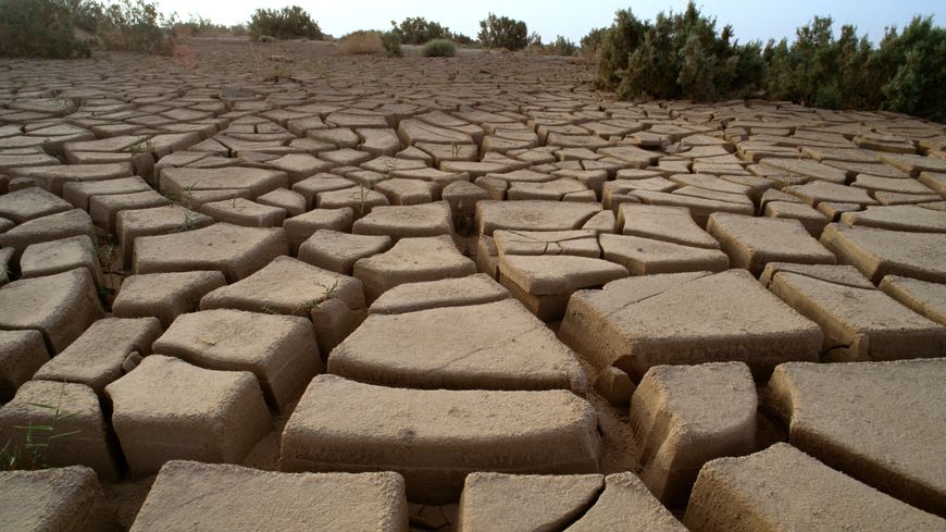 Tunisie, Désert du Sahara, boue craquelée, gros plan
