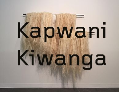 Kapwani Kiwango, crédit : galerie Jérôme Poggi