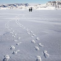 L'opération IceBridge de la NASA étudie la façon dont la glace polaire a évolué au cours des neuf dernières années et lance actuellement un ensemble de vols de recherche sur l'océan Arctique pour surveiller la perte de glace en Arctique
