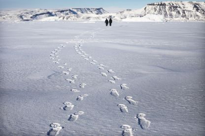 L'opération IceBridge de la NASA étudie la façon dont la glace polaire a évolué au cours des neuf dernières années et lance actuellement un ensemble de vols de recherche sur l'océan Arctique pour surveiller la perte de glace en Arctique L'opération IceBridge de la NASA étudie la façon dont la glace polaire a évolué au cours des neuf dernières années et lance actuellement un ensemble de vols de recherche sur l'océan Arctique pour surveiller la perte de glace en Arctique