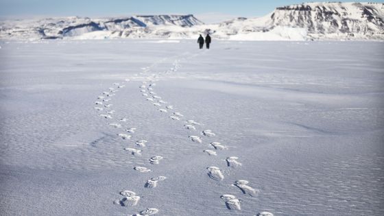 L'opération IceBridge de la NASA étudie la façon dont la glace polaire a évolué au cours des neuf dernières années et lance actuellement un ensemble de vols de recherche sur l'océan Arctique pour surveiller la perte de glace en Arctique ©Getty - Mario Tama
