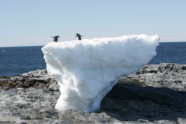 Cape Denison, Commonwealth Bay, Antarctique.