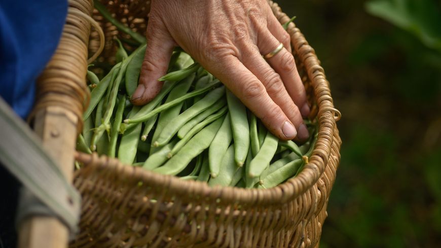 Les agriculteurs bio ne décolèrent pas et dénoncent la diminution massive des aides