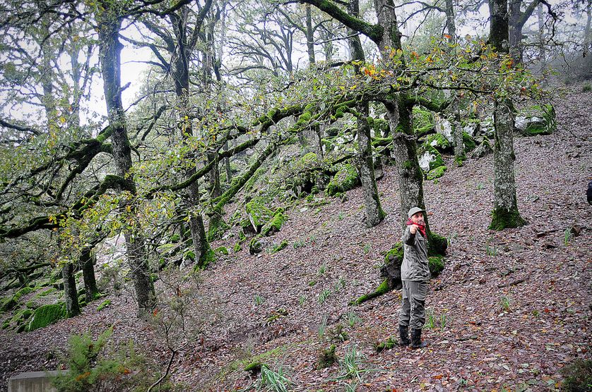 Je suis garde forestier
