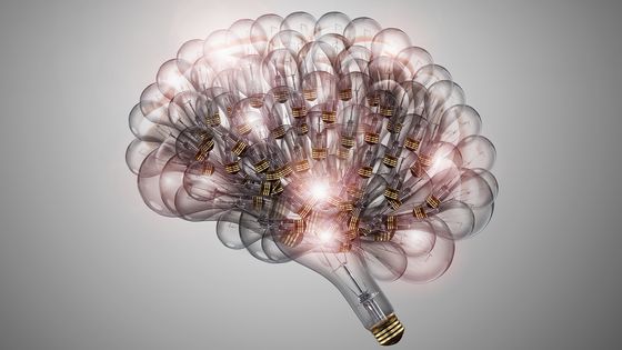 Le cerveau ©Getty