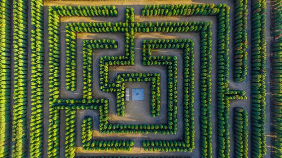 Labyrinthe vu du ciel ©AFP - PATRICK PLEUL / DPA