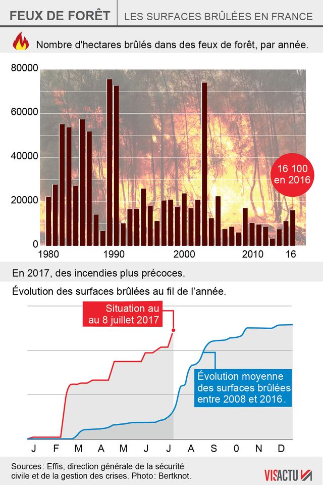 Historique du nombre d'hectares brûlés en France depuis 1980
