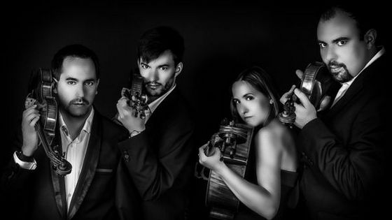 Le Quatuor Tana - Nicolas Draps