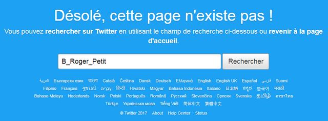 Bruno Roger-Petit aux abonnés absents sur Twitter