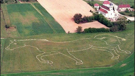 Jument verte dessinée sur un pré de Villers-Robert par l'artiste Pierre Duc en hommage à l'écrivain Marcel Aymé. ©AFP - Damien Meyer