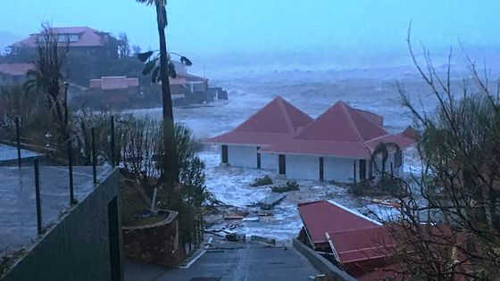 Les maisons de bord de mer à Saint-Barthélemy ont été totalement inondées lors du passage de l'ouragan, mardi 7 septembre au soir. ©AFP - KEVIN BARRALLON