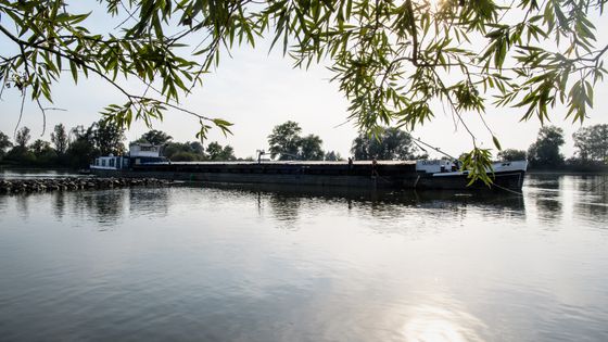 Le Danube vu d'Allemagne ©AFP - MATTHIAS BALK / DPA
