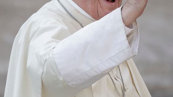 Le Pape François au Vatican. ©AFP - Giuseppe Ciccia / NurPhoto
