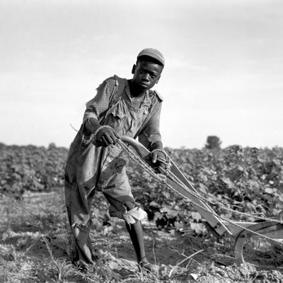 Jeune métayer de treize ans, dans les environs d'Américus, Géorgie, en juillet 1937