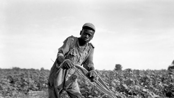 Jeune métayer de treize ans, dans les environs d'Américus, Géorgie, en juillet 1937 - Dorothea Lange (Source:Library of Congress, USA)