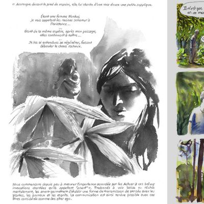 2 planches extraites de la BD "Anent - Nouvelles des Indiens jivaros", par Alessandro Pignocchi reparti sur ses traces de Philippe Descola chez les Achuars...