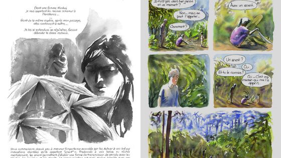 2 planches extraites de la BD "Anent - Nouvelles des Indiens jivaros", par Alessandro Pignocchi reparti sur ses traces de Philippe Descola chez les Achuars... - Alessandro Pignocchi/Steinkis