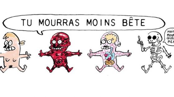 "Tu mourras moins bête", Série BD en vidéo sur des questions scientifiques. - ARTE Creative
